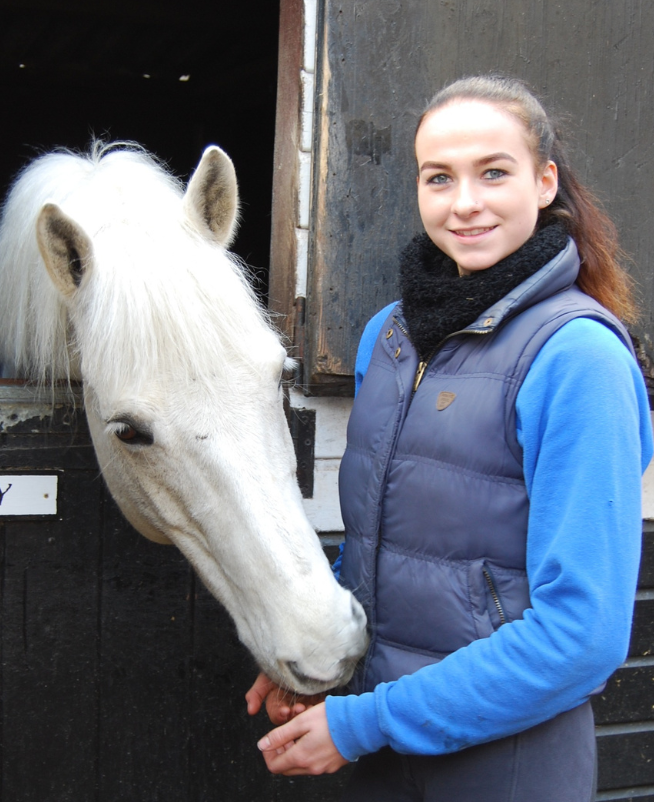 Freelance Groom Insurance and online tools British Grooms Association